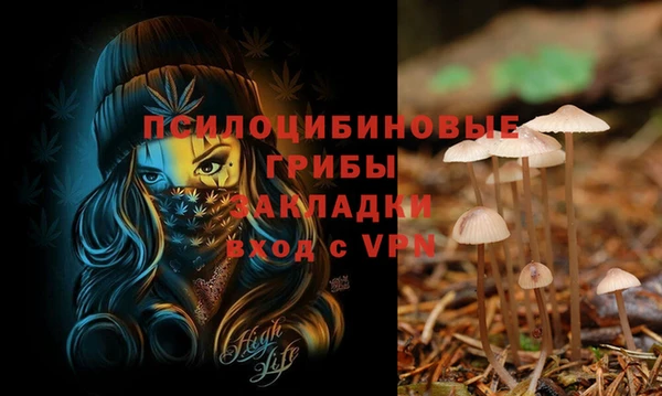 эйфоретик Абдулино
