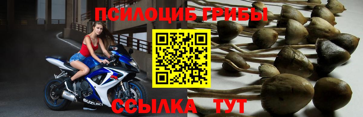 Псилоцибиновые грибы ЛСД Лангепас